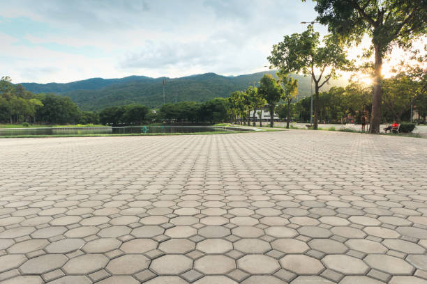 Best Professional Driveway Pavers  in Mount Pocono, PA